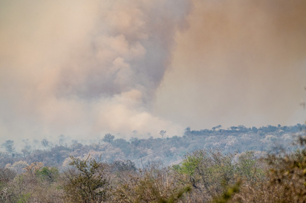 Controlled burning in Kruger